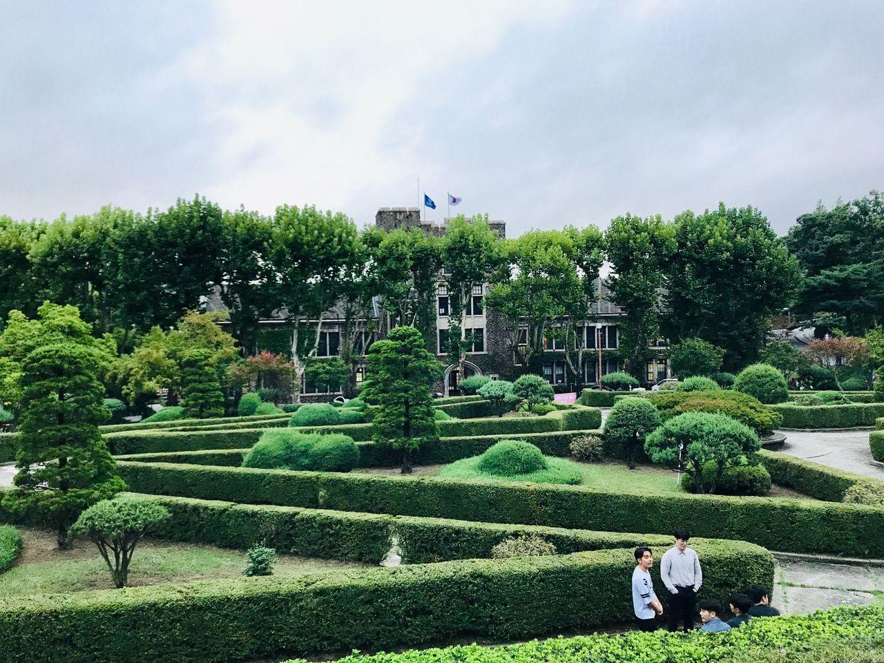 延禧馆旁的绿意，展示了延世大学丰富的校园自然风光。